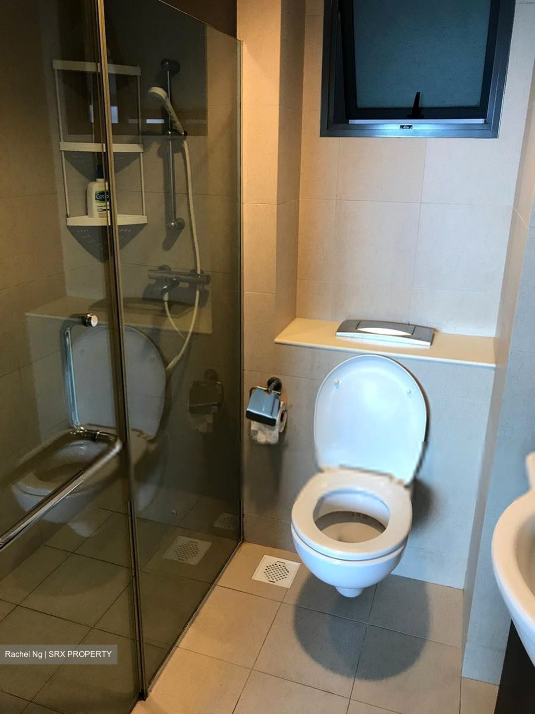 Blk 1D The Pinnacle@Duxton (Bukit Merah), HDB 4 Rooms #303227071